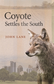 Hardcover Coyote Settles the South Book