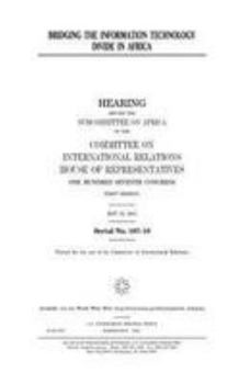 Paperback Bridging the information technology divide in Africa Book