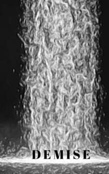 Paperback Demise Book