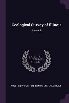 Paperback Geological Survey of Illinois; Volume 2 Book