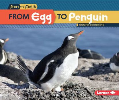 From Egg to Penguin - Book  of the Start to Finish, Second Series