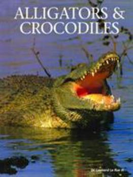 Hardcover Alligators & Crocodiles Book