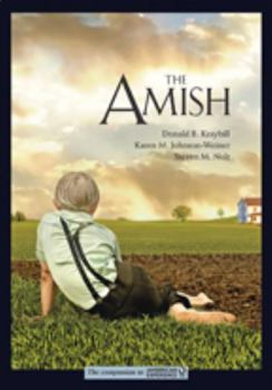 Paperback The Amish Book