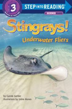 Library Binding Stingrays!: Underwater Fliers Book