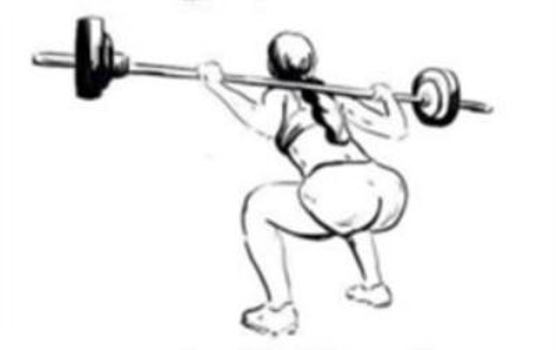 Paperback GYM WANKER - A FOOLPROOF GUIDE TO GYM EXCELLENCE: A CLOSE OBSERVATION OF HUMAN BEHAVIOUR Book