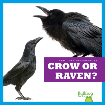 Paperback Crow or Raven? Book