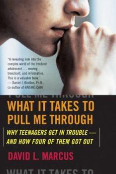 Paperback What It Takes to Pull Me Through: Why Teenagers Get in Trouble and How Four of Them Got Out Book