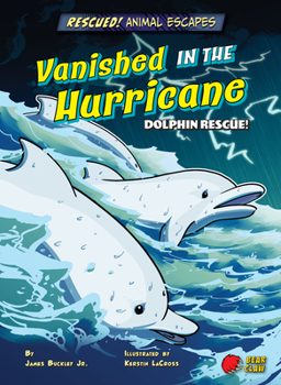 Library Binding Vanished in the Hurricane: Dolphin Rescue! Book