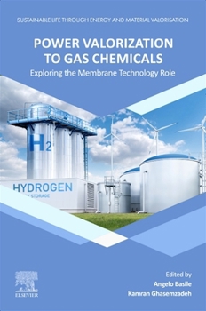 Paperback Power Valorization to Gas Chemicals: Exploring the Membrane Technology Role Book