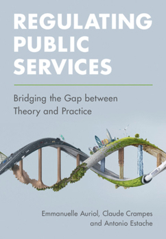 Paperback Regulating Public Services: Bridging the Gap Between Theory and Practice Book