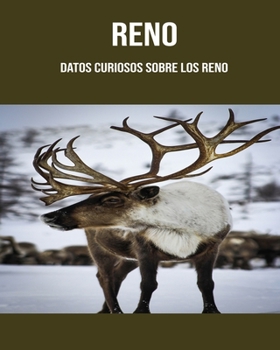Reno: Datos curiosos sobre los Reno