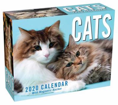 Calendar Cats 2020 Mini Day-To-Day Calendar Book