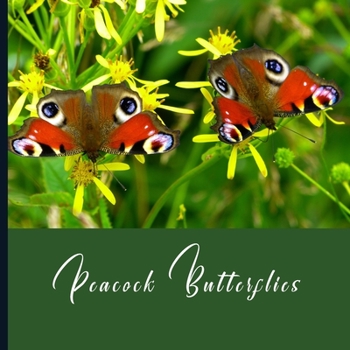 Peacock Butterfly: 2021 Monthly Photo Calendar | January 2021 - December 2021 | Monthly Calendar with U.S./UK/ Canadian/Christian/Jewish/Muslim Holidays | Peacock Butterfly Photo Calendar