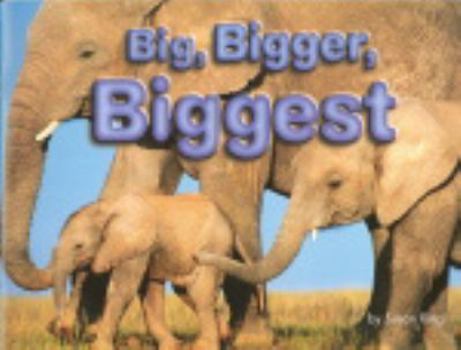 Paperback Big, Bigger, Biggest, Math Grades K-1 (Steck-vaughn Shutterbug Books) Book