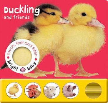Board book Duckling and Friends Book