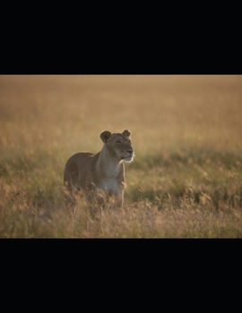 Keys To Life Cross Forgiveness and Grace: An attempt to meet the desires of people to access the very "Keys To Life."