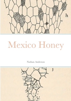 Paperback Mexico Honey Book