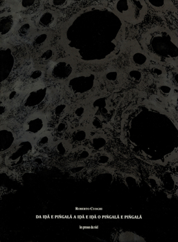 Hardcover Roberto Cuoghi: Da Ida E Piñgala a Ida E Ida O Piñgala E Piñgala Book