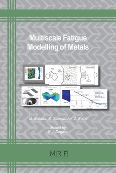 Paperback Multiscale Fatigue Modelling of Metals Book