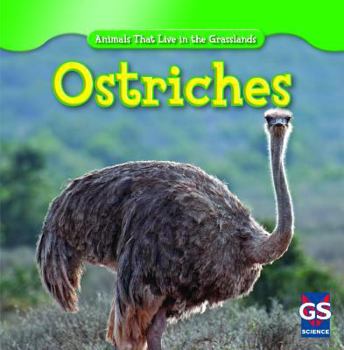 Library Binding Ostriches Book