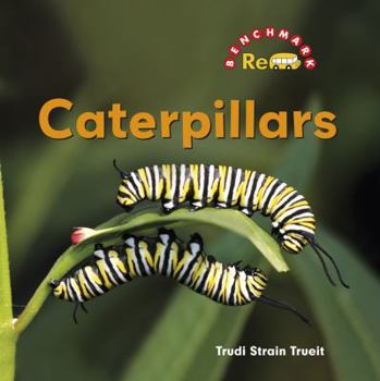 Library Binding Caterpillars Book