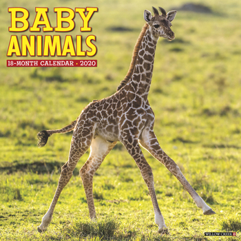 Calendar Baby Animals 2020 Wall Calendar Book
