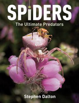 Paperback Spiders: The Ultimate Predators Book