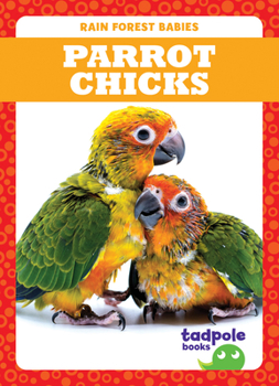 Paperback Parrot Chicks Book