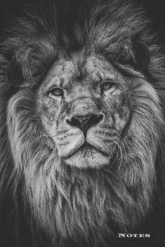 Lion Photography Black & White: 6"x9" Blank Lined Journal, 120 Pages for Notes To Write In (Wildlife Photography Journals)