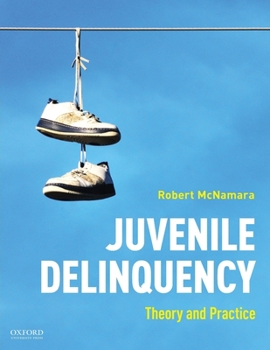 Paperback Juvenile Delinquency: Theory to Practice Book
