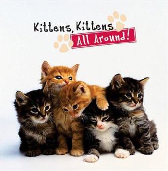 Hardcover Kittens, Kittens All Around! Book