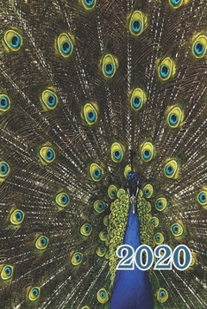 Paperback 2020: Proud as a Peacock Colorful Weekly Monthly Planner 12 Month Diary Calendar Date Book, Appointment Schedule, Handy Purs Book
