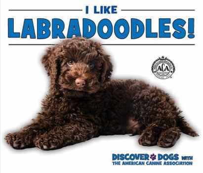 I Like Labradoodles! - Book  of the Discover Dogs with the American Canine Association