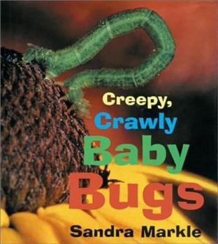 Paperback Creepy, Crawly Baby Bugs Book