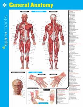 Flexibound General Anatomy Sparkcharts: Volume 24 Book