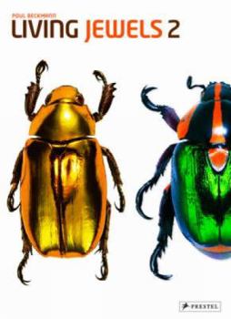 Hardcover Living Jewels 2: The Magical Design of Beetles Book