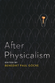 Paperback After Physicalism Book