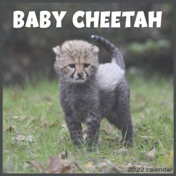 Baby Cheetah 2022 Calendar: Official Cheetahs Animal 2022 Calendar 16 Months