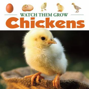 Hardcover Chickens Book