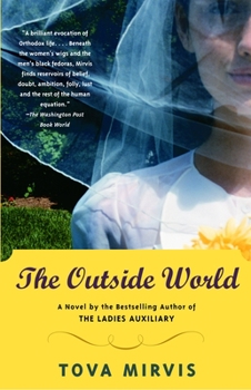 Paperback The Outside World Book