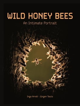 Hardcover Wild Honey Bees: An Intimate Portrait Book