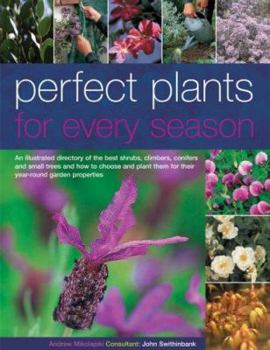 Paperback Perfect Plants for Every Season: An Illustrated Directory of the Best Shrubs, Roses, Climbers, Conifers and Small Trees and How to Choose, Plant and C Book