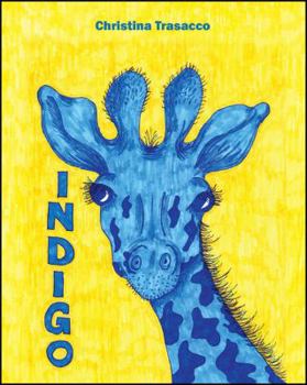 Hardcover Indigo Book