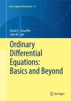 Paperback Ordinary Differential Equations: Basics and Beyond Book