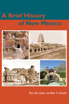 Paperback A Brief History of New Mexico Book