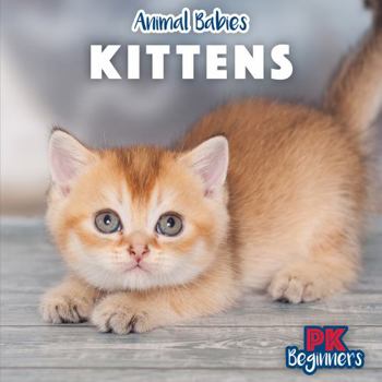 Kittens