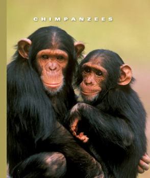 Library Binding Chimpanzees Book