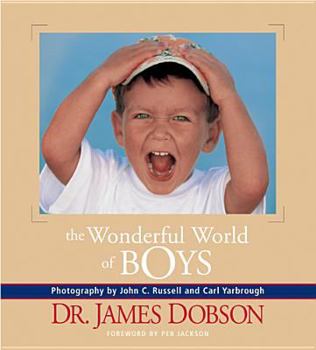 Hardcover The Wonderful World of Boys Book