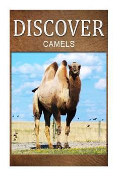 Paperback Camels - Discover: Early reader's wildlife photography book