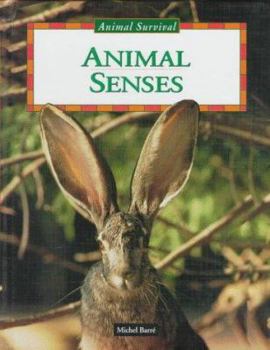 Library Binding Animal Senses Book